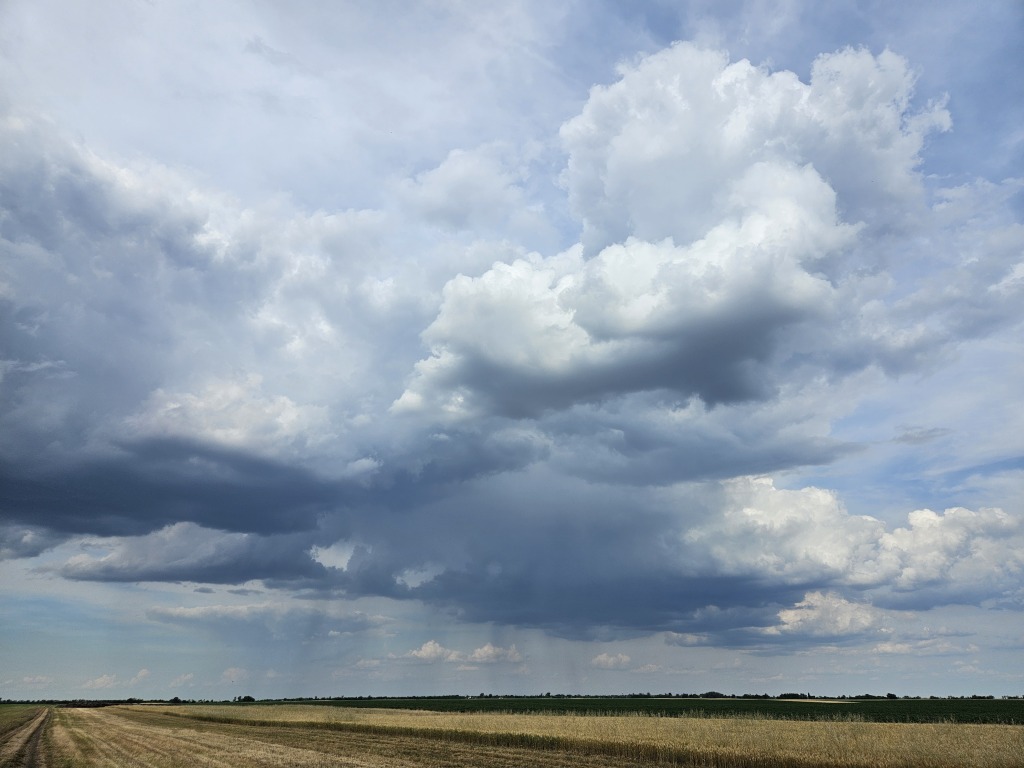 beillesztett kép