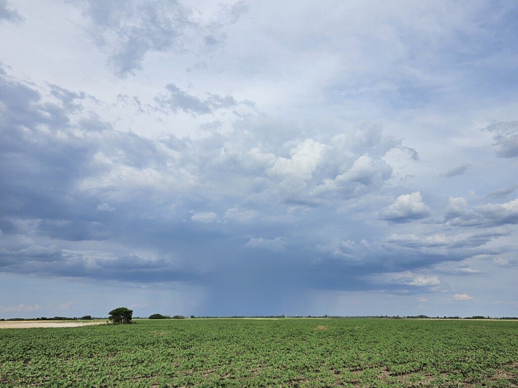 beillesztett kép