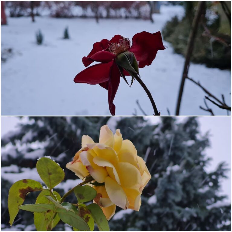 Évszakok keveredése a Börzsöny lábánál