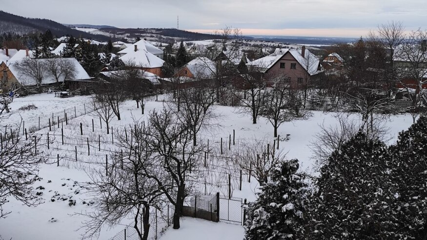 Győrújbarát, 7 centiméter, gyönyörű a táj és a cica is