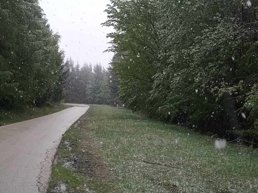 Hull a hó a Kőszegi-hegységben
