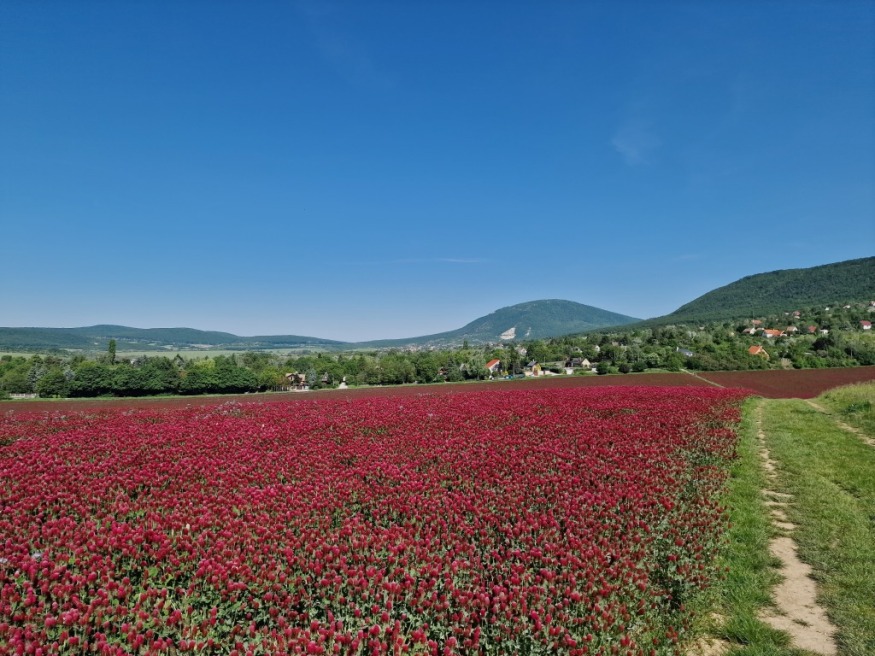 A festői Pilis medence