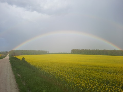 pic