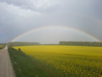 pic