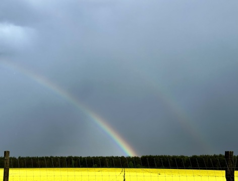 pic