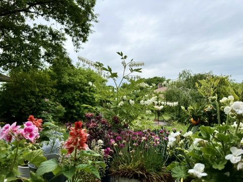 pic