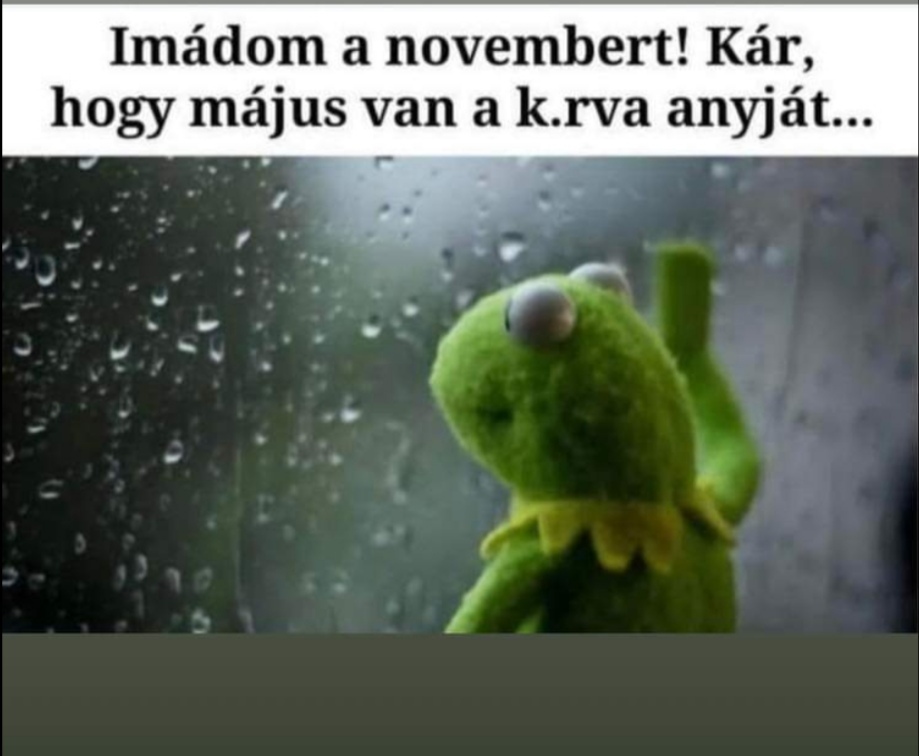 beillesztett kép