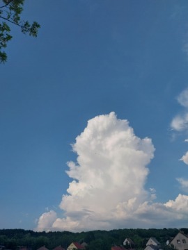 pic