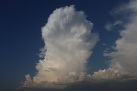 pic