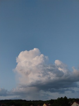 pic