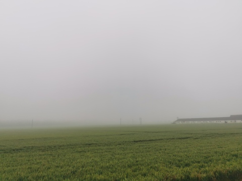 pic