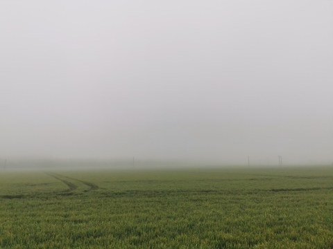 pic