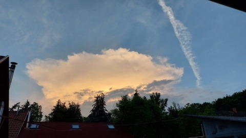 pic