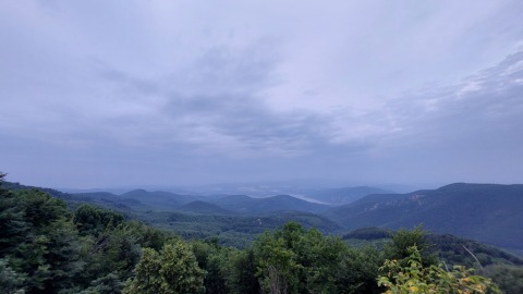 pic
