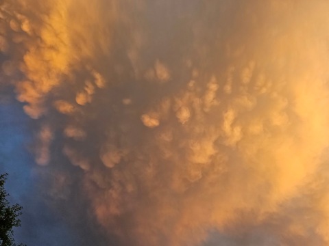 pic