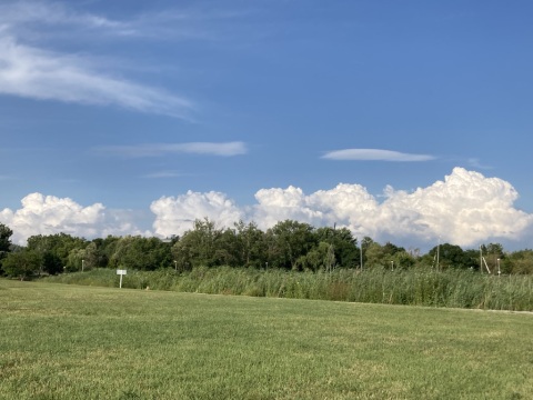 pic