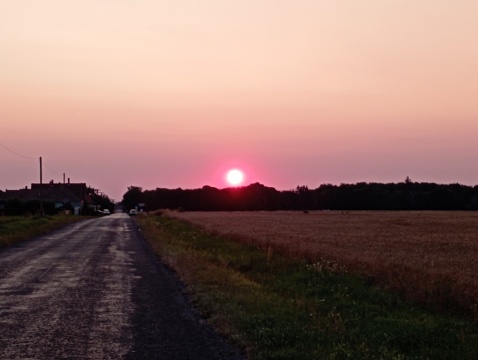 pic