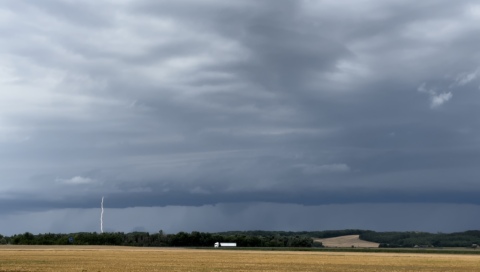 pic