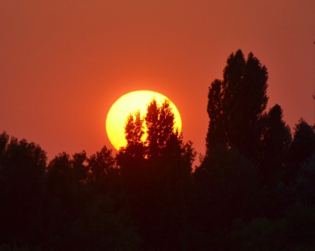 pic