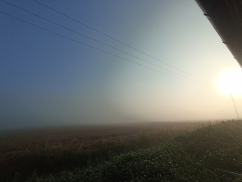 pic