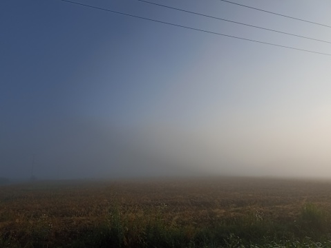 pic