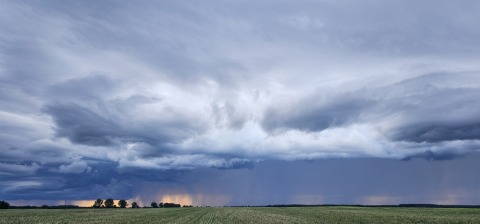 pic
