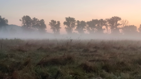 pic