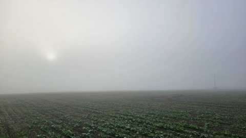 pic