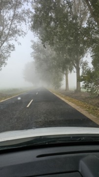 pic