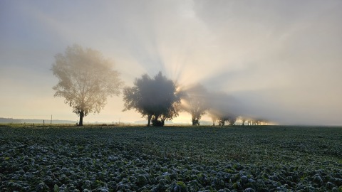 pic