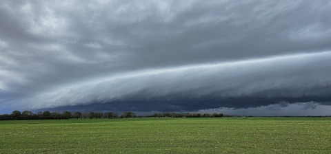 pic