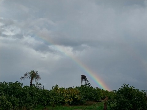 pic