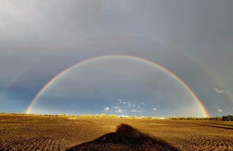 pic
