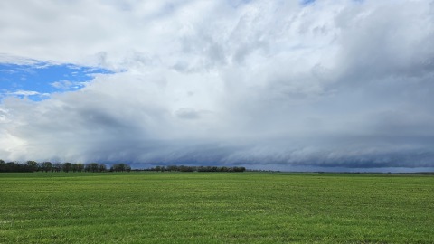 pic