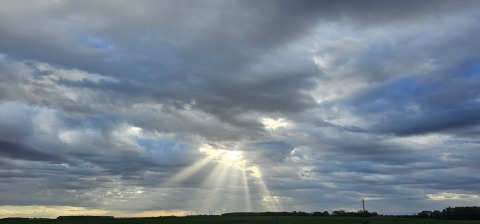 pic