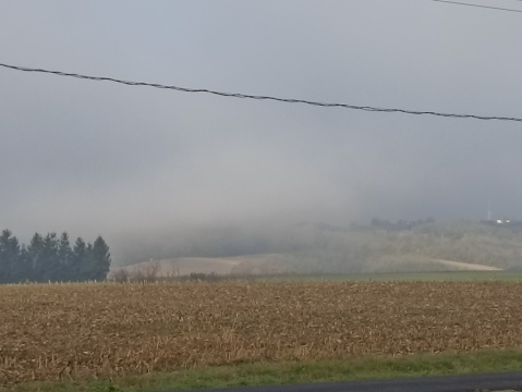 pic