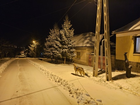 pic