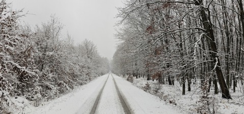 pic