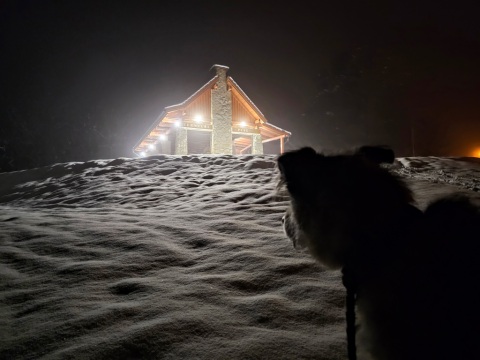 pic