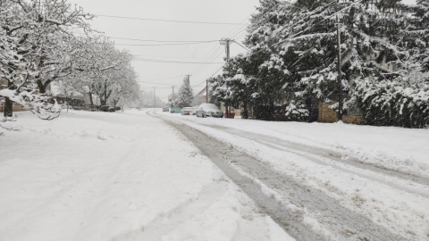 pic