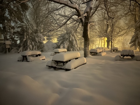 pic