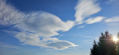pic