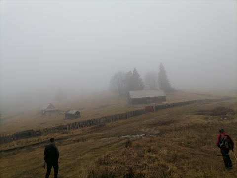 pic