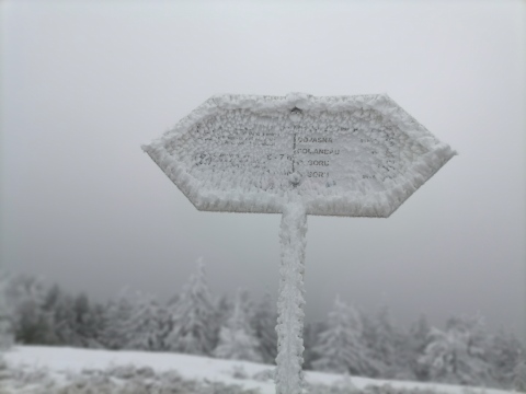 pic