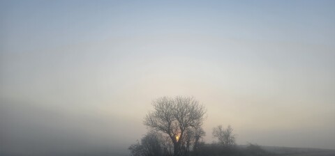 pic