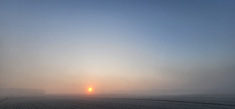pic