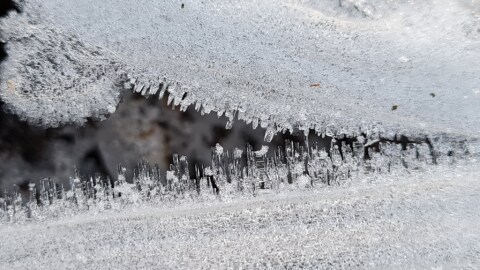 pic