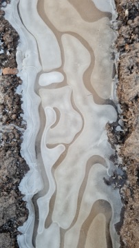 pic
