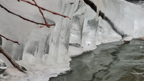pic