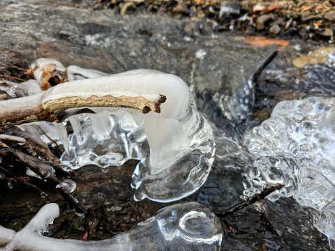 pic